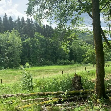 Rothaarsteig * Medebach