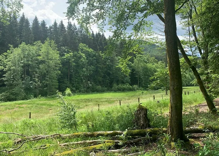 Rothaarsteig * Medebach