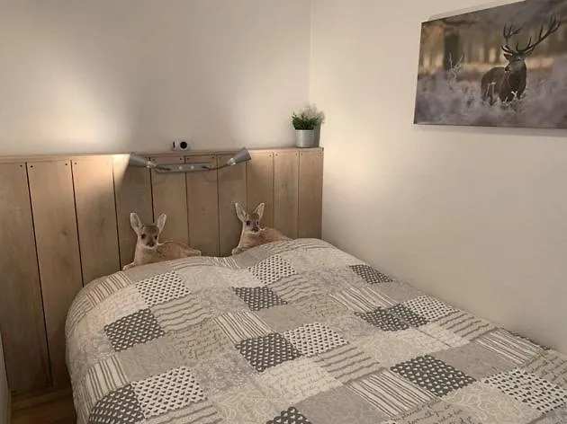 Rothaarsteig * Medebach